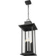 Tiberius 6-Light Outdoor Pendant