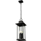 Tiberius 4-Light Outdoor Pendant