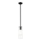 Alton 1-Light Pendant
