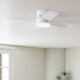 Minimus Fan with LED Light 52"