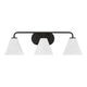 Blair 3-Light Vanity Light