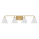 Blair 4-Light Vanity Light