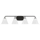 Blair 4-Light Vanity Light