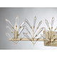 Orianna 4-Light Vanity Light