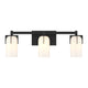 Caldwell 3-Light Bathroom Vanity Light