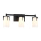Caldwell 3-Light Bathroom Vanity Light