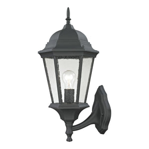 Temple Hill 21" High 1-Light Outdoor Sconce