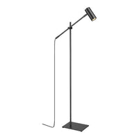 Calumet 1-Light Floor Lamp