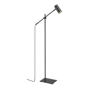 Z-Lite - Calumet 1-Light Floor Lamp - Lights Canada