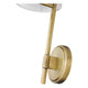 Winward 1-Light Wall Sconce