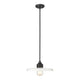 Paloma 1-Light 14" Pendant