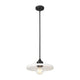 Paloma 1-Light 14" Pendant