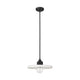 Paloma 1-Light 14" Pendant
