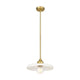 Paloma 1-Light 14" Pendant