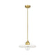 Paloma 1-Light 14" Pendant