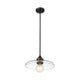 Paloma 1-Light 14" Pendant