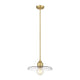 Paloma 1-Light 14" Pendant