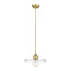 Paloma 1-Light 14" Pendant