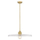 Paloma 1-Light 24" Pendant