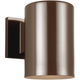 Outdoor Cylinders Small One Light Outdoor Wall Lantern