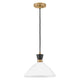 Simon Medium Single Light Convertible Pendant