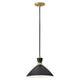 Simon Medium Single Light Convertible Pendant