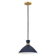 Simon Medium Single Light Convertible Pendant