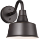 Barn Light Small One Light Outdoor Wall Lantern