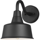 Barn Light Small One Light Outdoor Wall Lantern