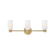 Naomi Medium Three Light Vanity