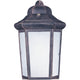 1-Light Outdoor Wall Mount