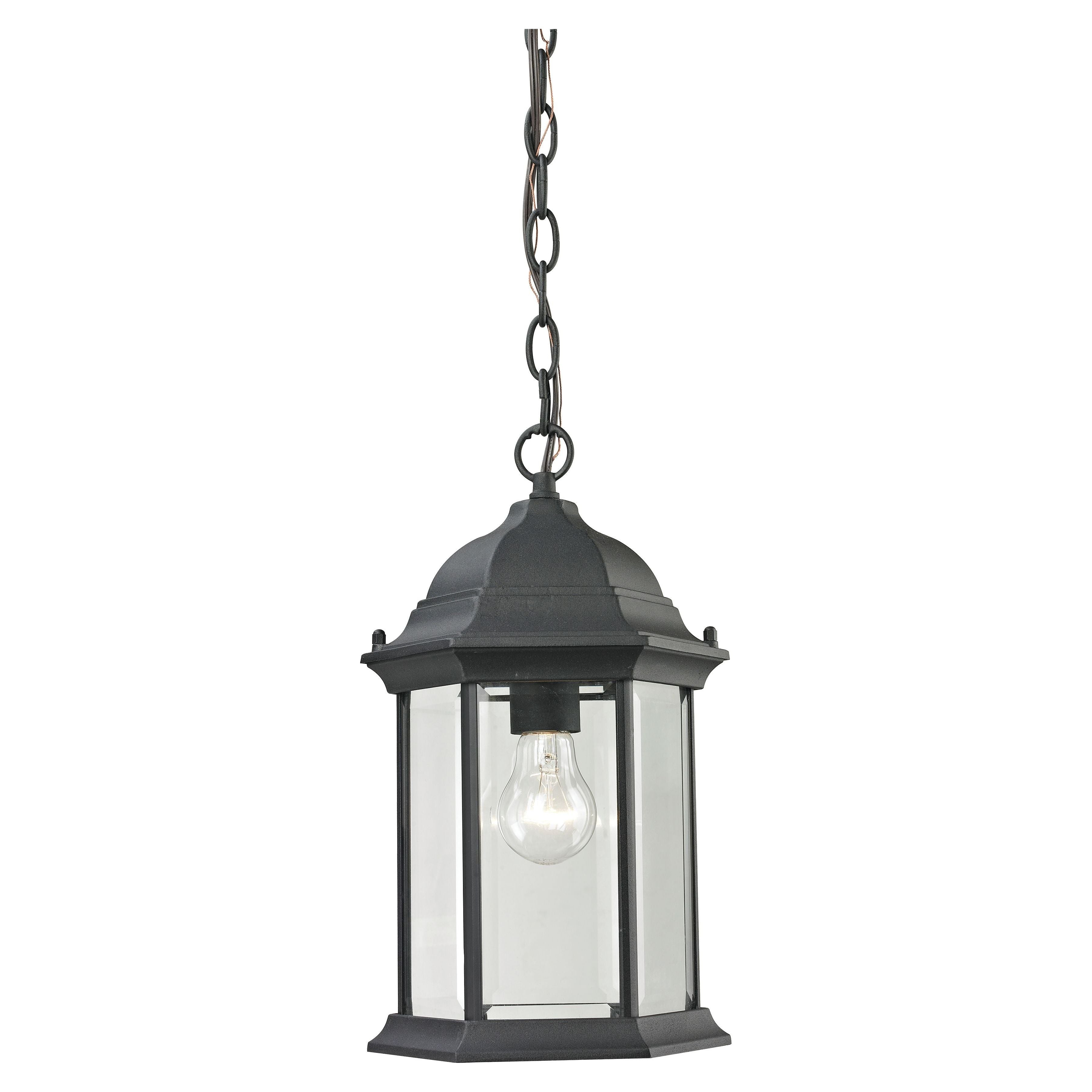 Spring Lake 8" Wide 1-Light Outdoor Pendant