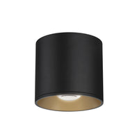 Stout Round 120-277V Indoor/Outdoor Flush Mount