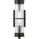 Alcona Medium One Light Outdoor Wall Lantern