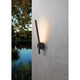 Taparita 17" LED Outdoor Wall Light
