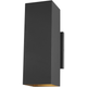 Pohl Medium Two Light Outdoor Wall Lantern