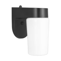 One Light Outdoor Wall Lantern