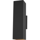 Pohl Large Two Light Outdoor Wall Lantern