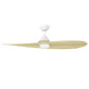 Surf 56" 2-Blade Marine Grade Fan with LED