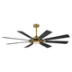 Helm 72" Indoor Fan with LED Light Kit