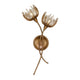 Protea 2-Light Wall Sconce