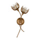Protea 2-Light Wall Sconce