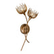 Protea 2-Light Wall Sconce