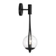 Encino 1-Light Wall Sconce
