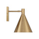 Pharos 1-Light Adjustable Wall Sconce