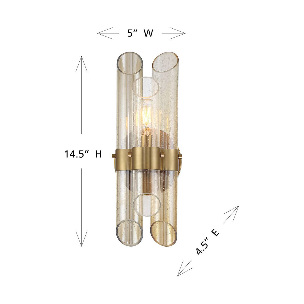 Biltmore 1-Light Wall Sconce