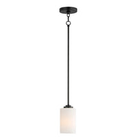 Deven 1-Light Mini Pendant