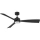 Iver 56" LED Dual Mount Fan