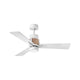 Atticus 42" LED Smart Fan