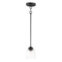 Acadia 1-Light Pendant